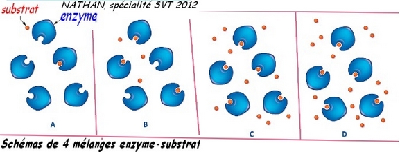 schema_Ez_substrat.jpg