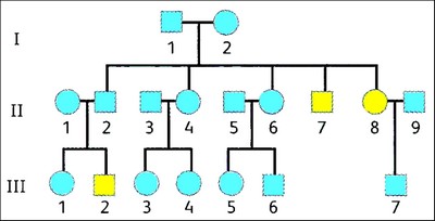 http://dboudeau.fr/site/wp-content/uploads/2012/08/arbre_genealogique_mucoviscidose.jpg