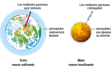 TP1 (2ème partie) : La Terre, planète de la vie – Les SVT avec DB