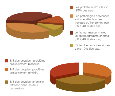 Activité 3 : L'infertilité et l'aide à la procréation – Les SVT avec DB